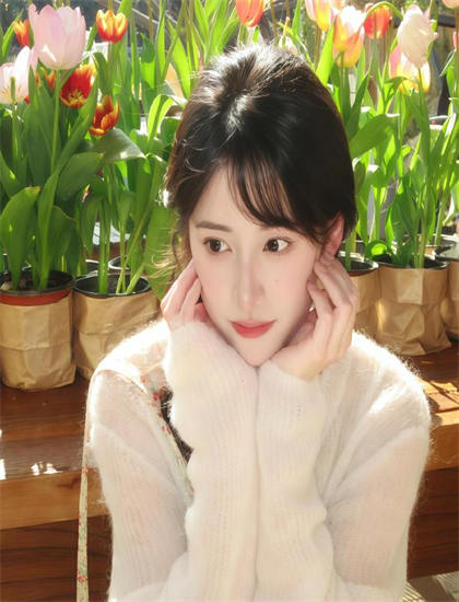 2026春季档《第二道彩虹》：上映表现与评价